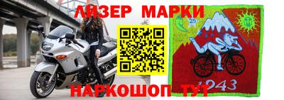 apvp Моздок