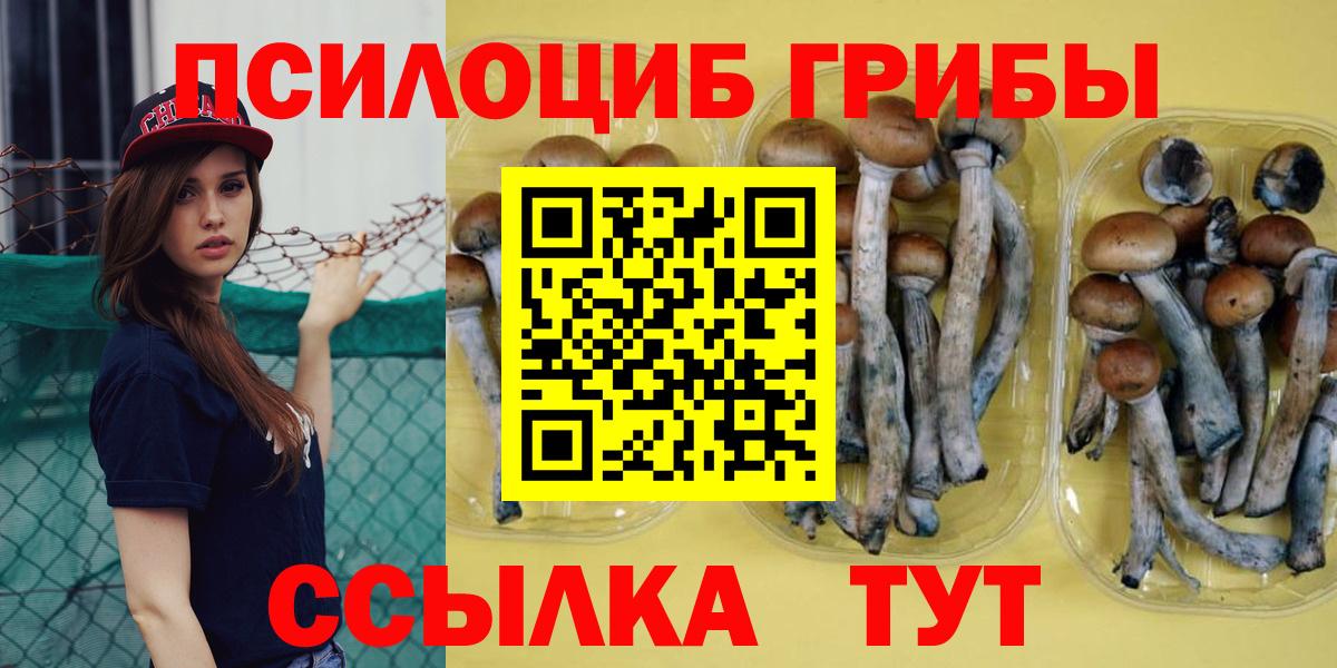 Троицк  Галлюциногенные грибы ЛСД  Псилоцибиновые грибы ЛСД  Вход с VPN 
